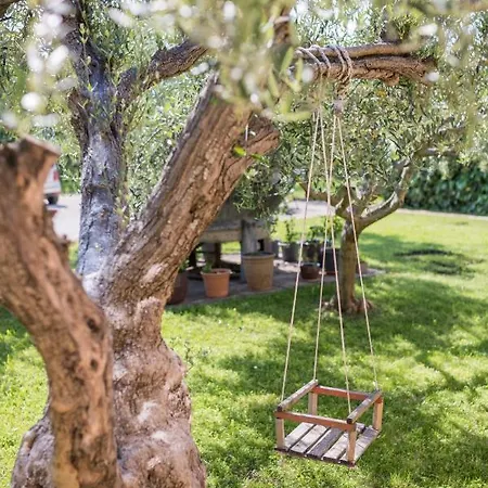 Bb Olive 3* Seget (Umag)